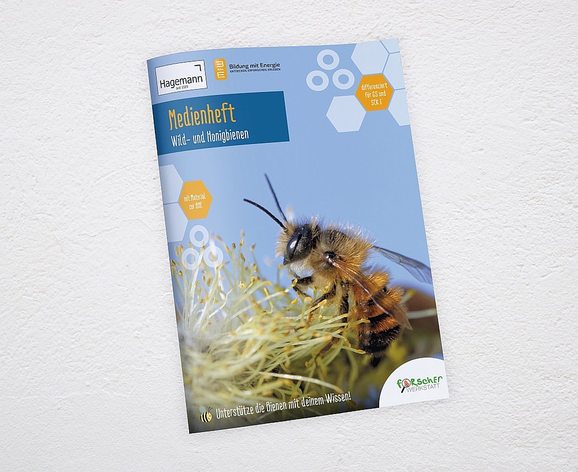 Medienpaket Wild- und Honigbienen inkl. interaktiver Übungen