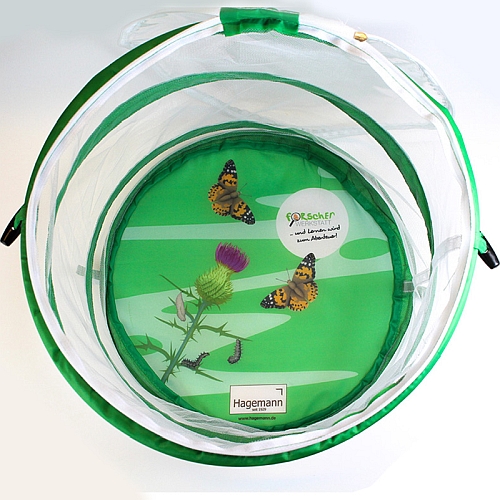 Schmetterlingszucht-Set „Klassenprojekt“ und interaktive Übungen