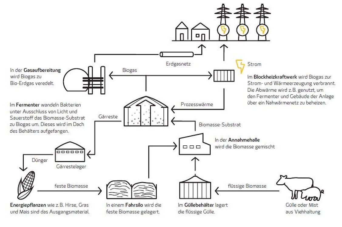 Energieposter Biogas, DIN A1